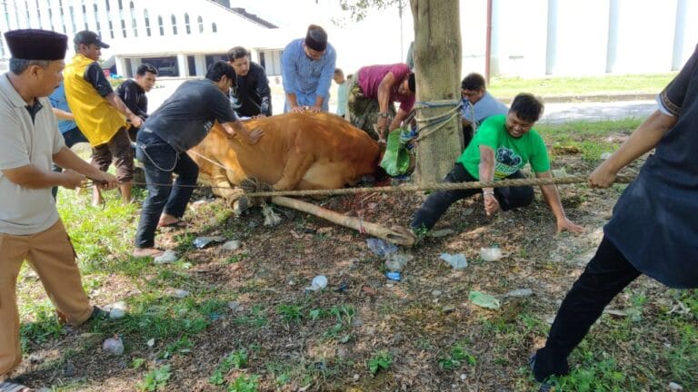 Lazisnu Sulsel Gelar Program Qurban Memberdayakan, Salurkan Daging Qurban ke Masyarakat Kurang Mampu